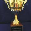 LARGE CUP ON W092 BASE